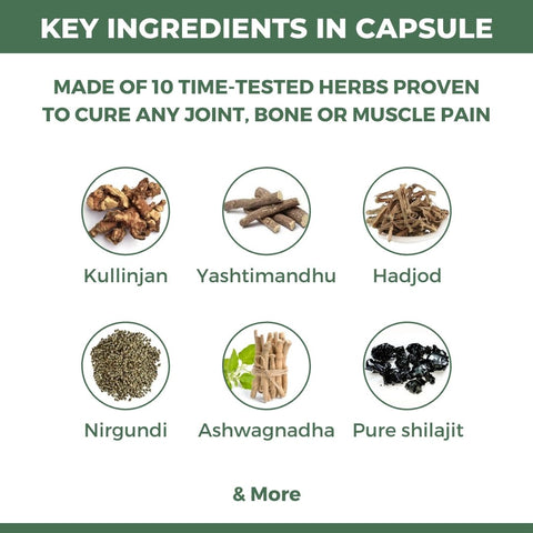 Dard Niwarak Ayurvedic Pain Relief Oil & Capsules: For Quick & Long Lasting Relief from Joint, Bone, Muscle & Body Pain